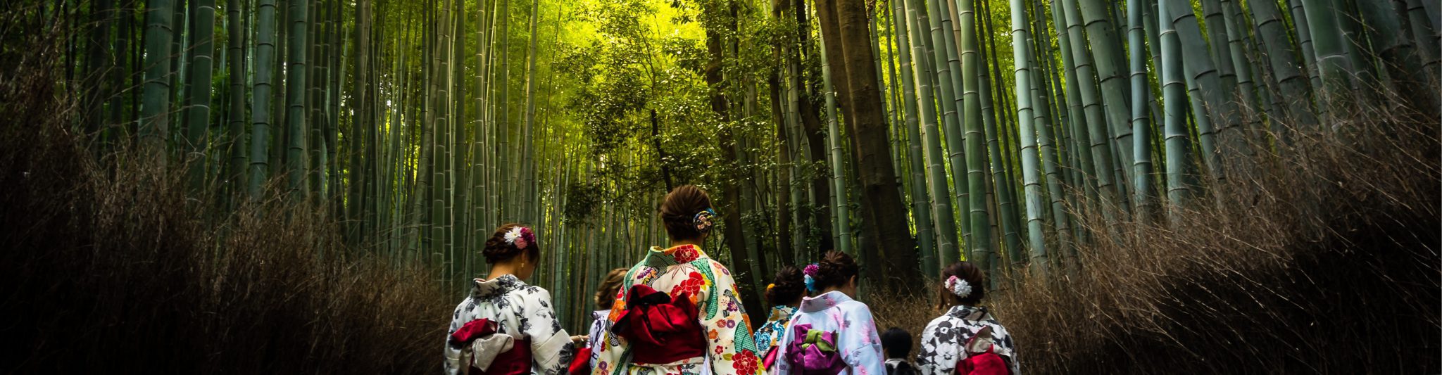 Arashiyama Bamboo Forest
