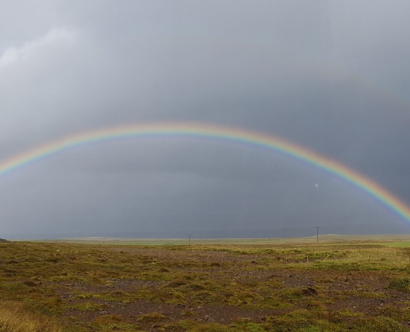 Regenboog