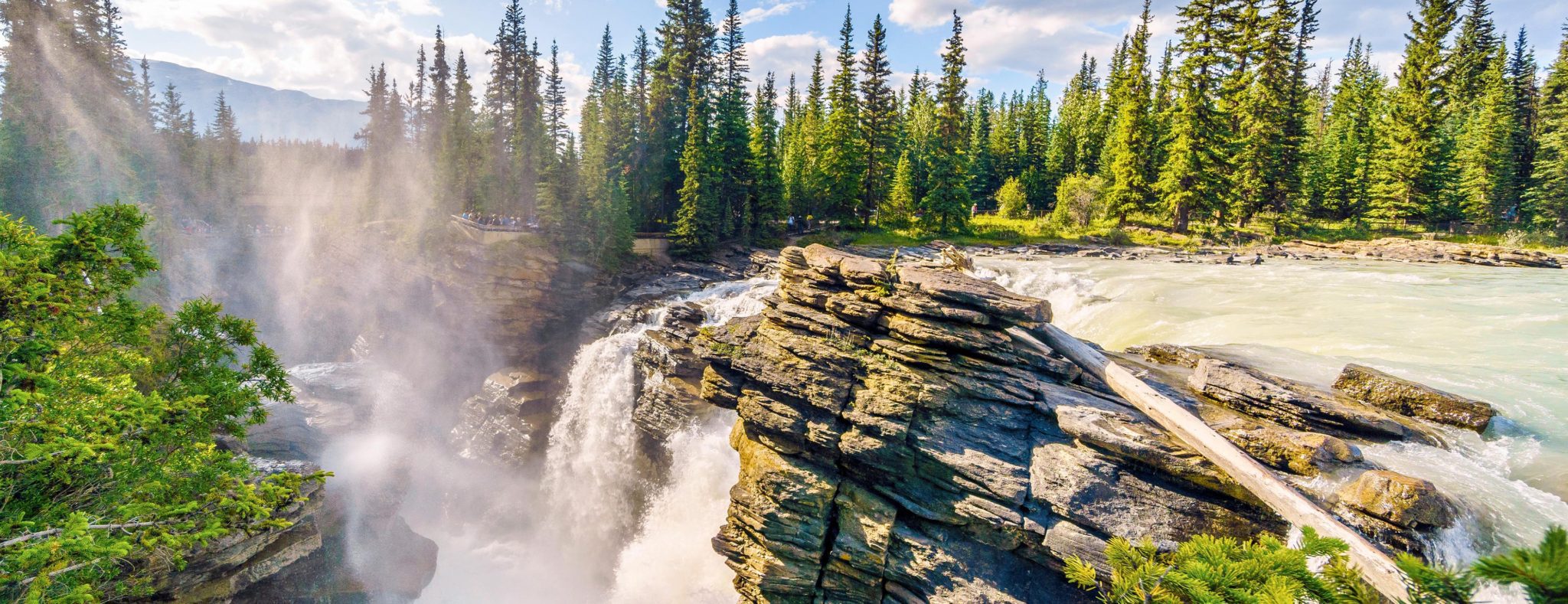 Athabasca watervallen in Jasper National Park