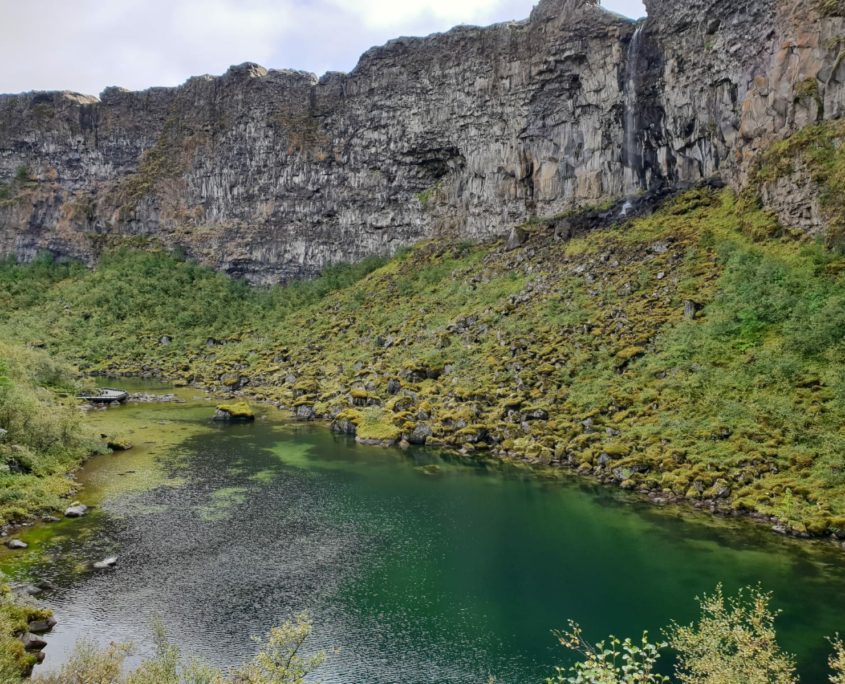 IJsland inspiratie studiereis Ásbyrgi