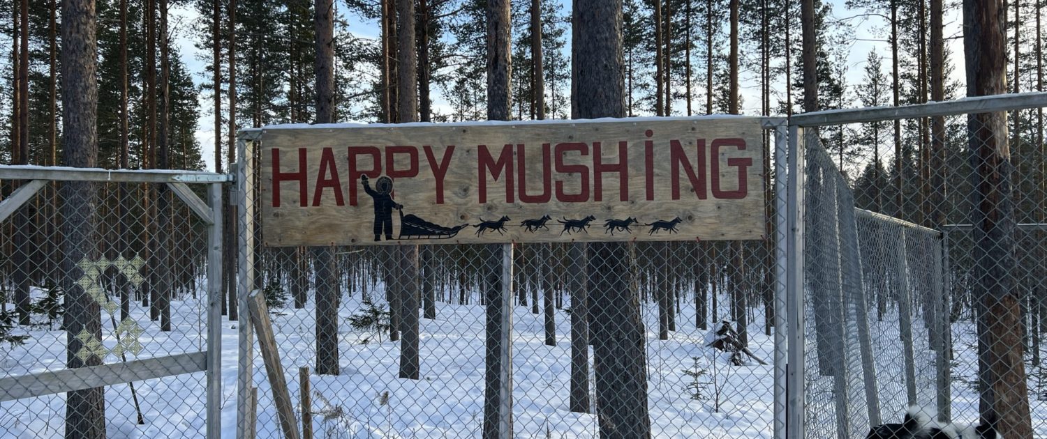 Happy Mushing - Zweden