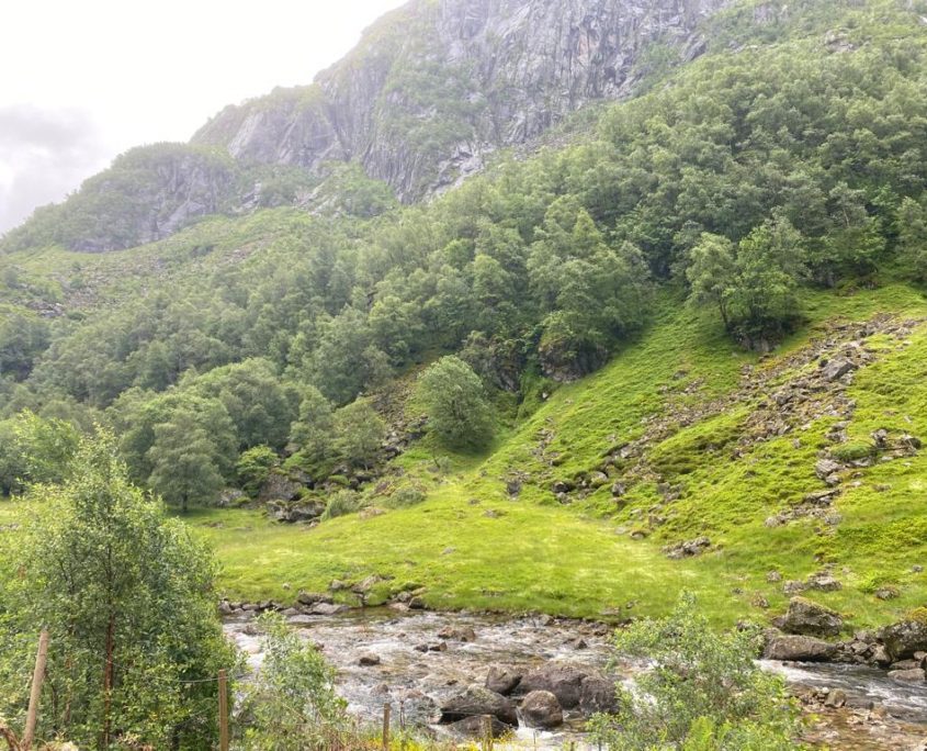 Noorwegen Onderweg naar Kristiansand uitzicht