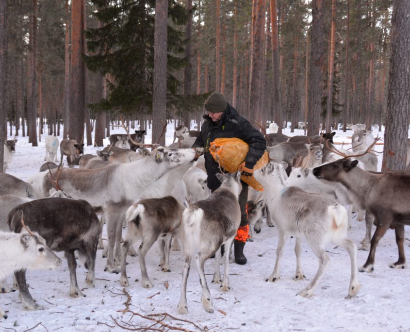 Op bezoek bij de Sámi - Barbara