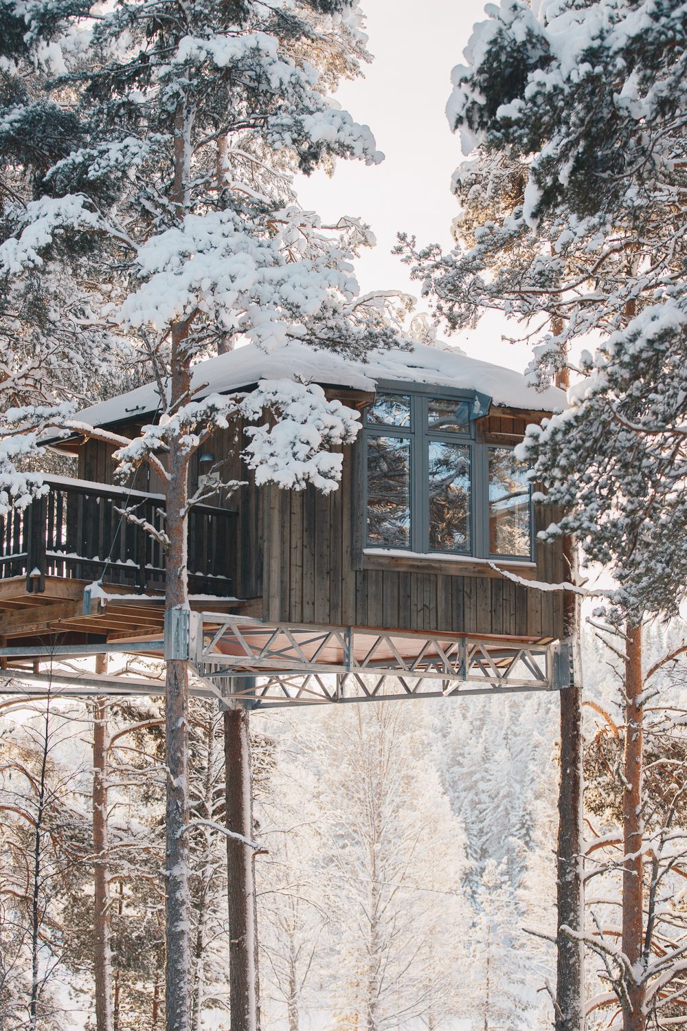 Slapen in een 'birds nest' - Granö Beckasin