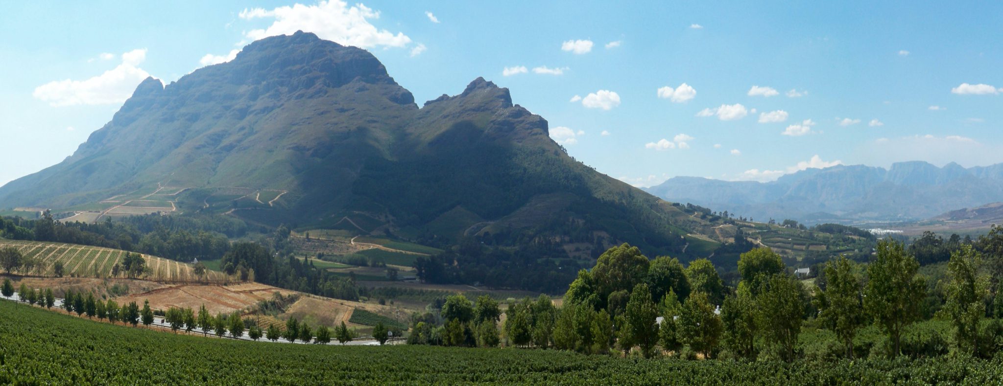 Stellenbosch