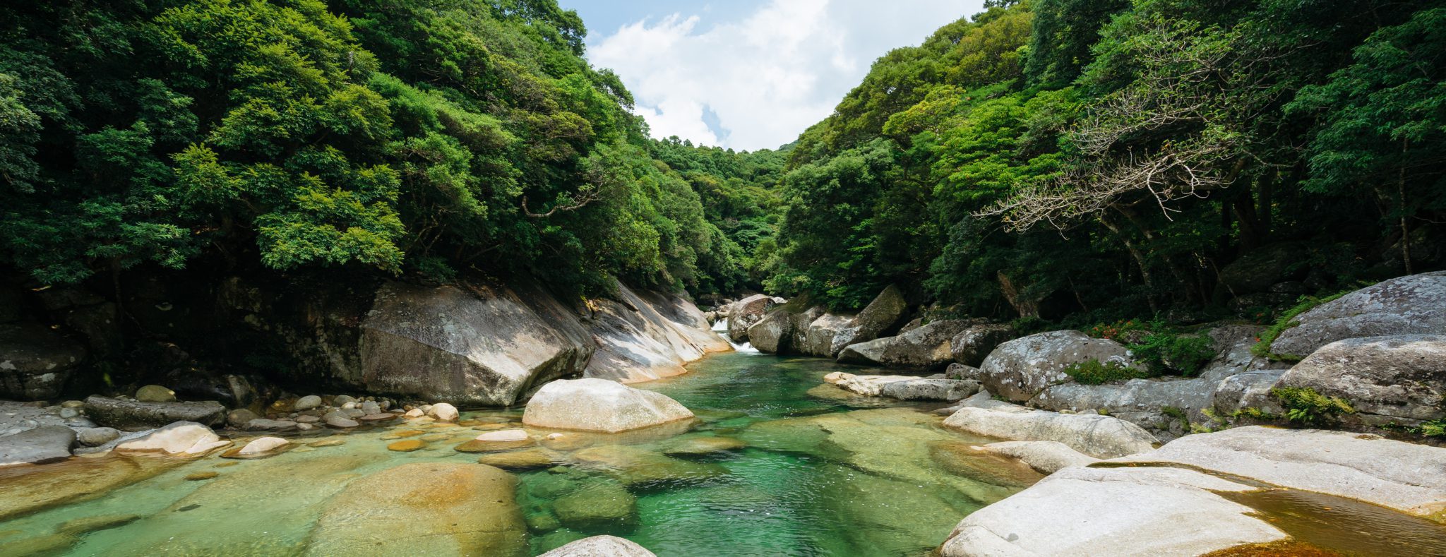 Yakushima