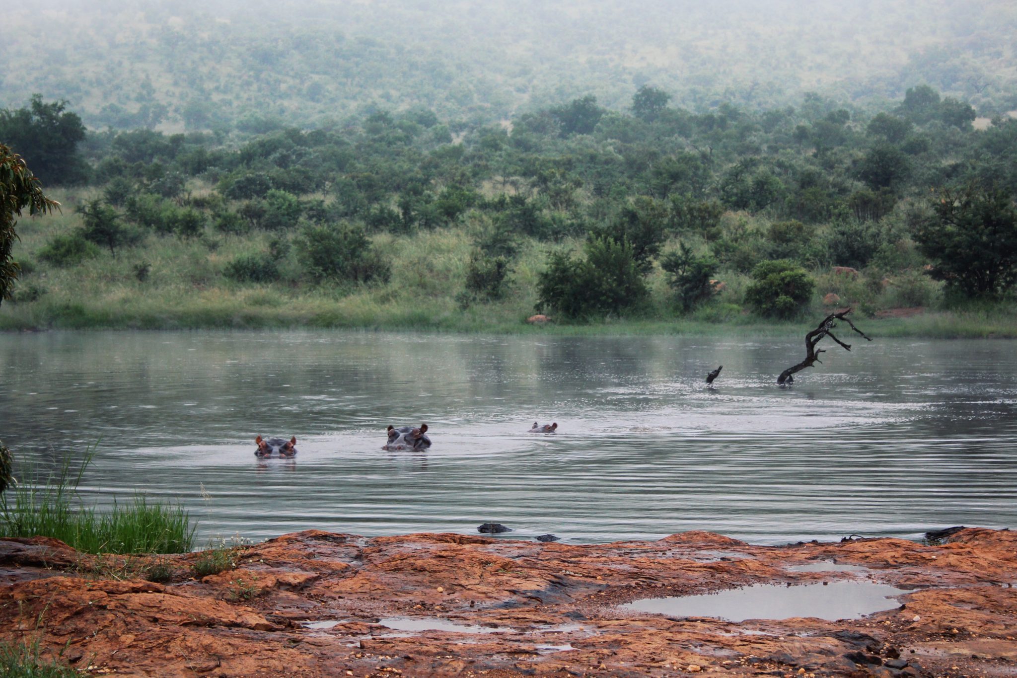 pilanesberg-nat-park