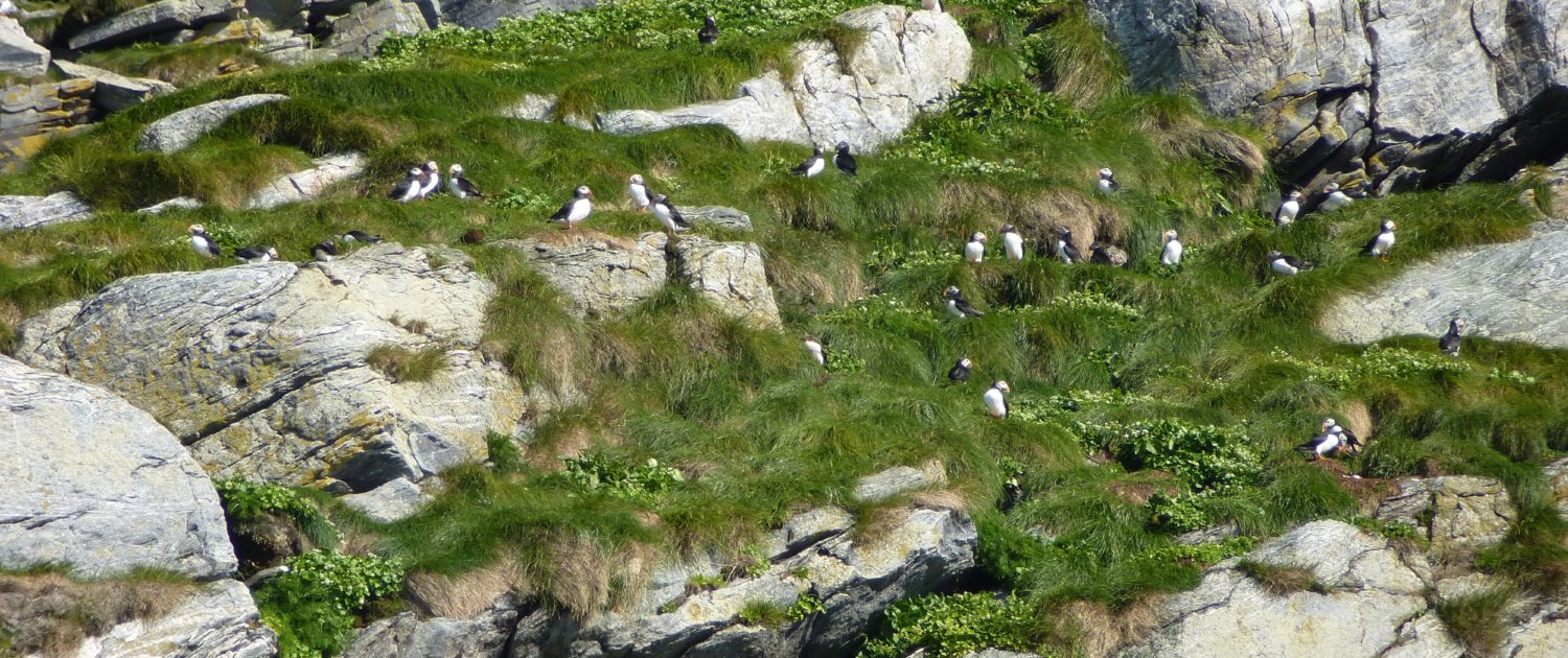 Boven de Poolcirkel vakantie 2012 - Noordkaap