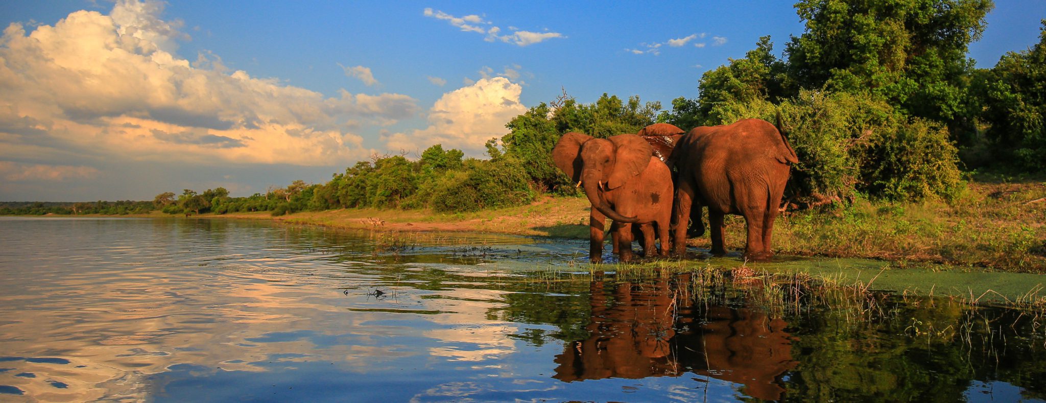 Weer en Klimaat Zuid-Afrika