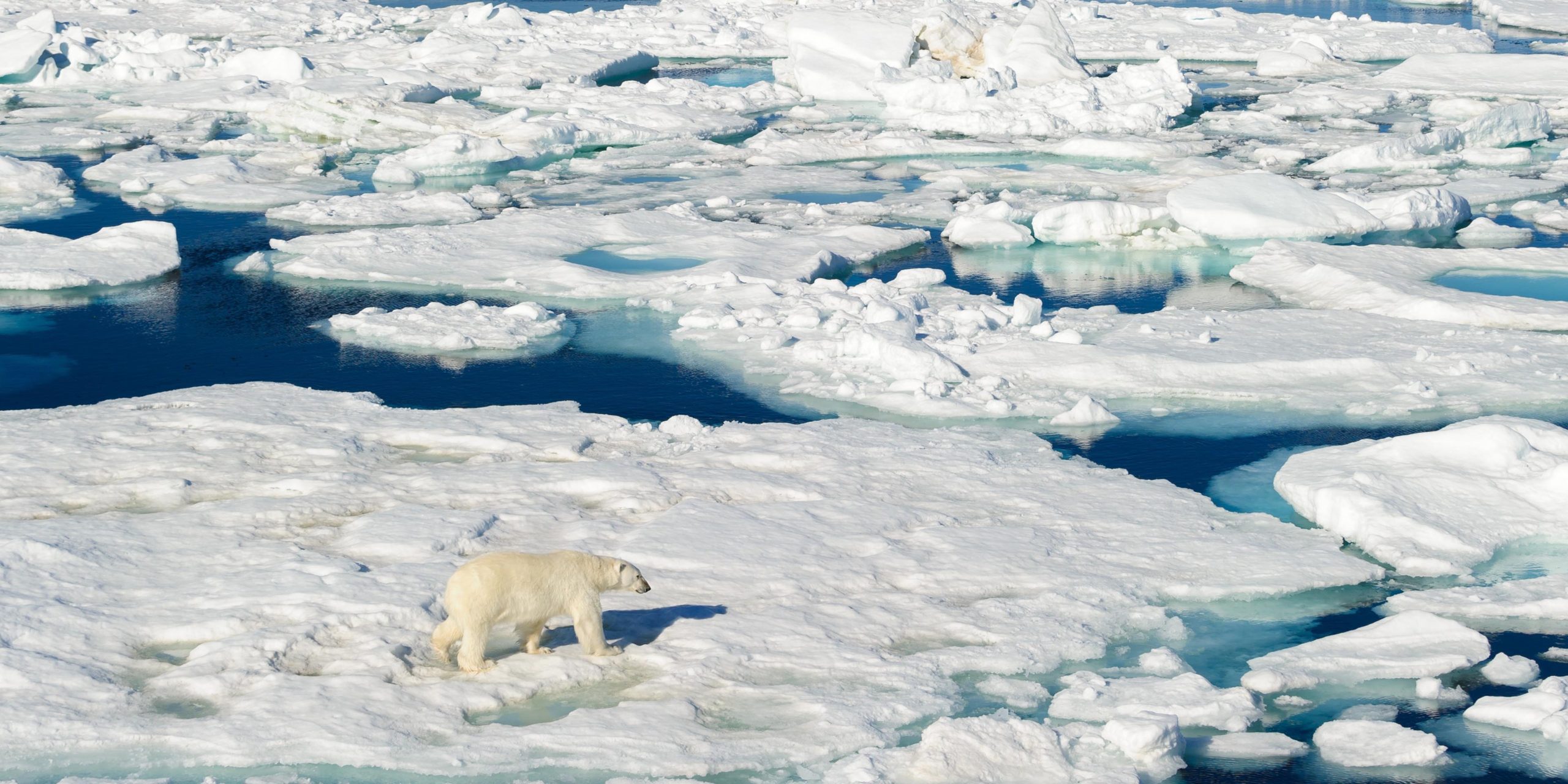 Zelf samengestelde individuele reis Spitsbergen