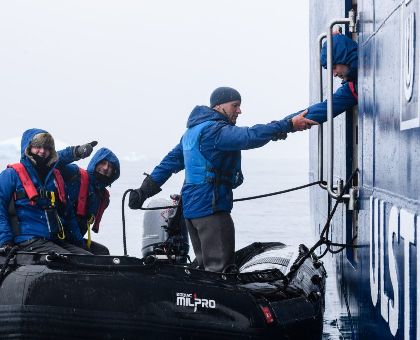 Antarctica South Georgia and Falkland Islands - Sandra Petrowitz