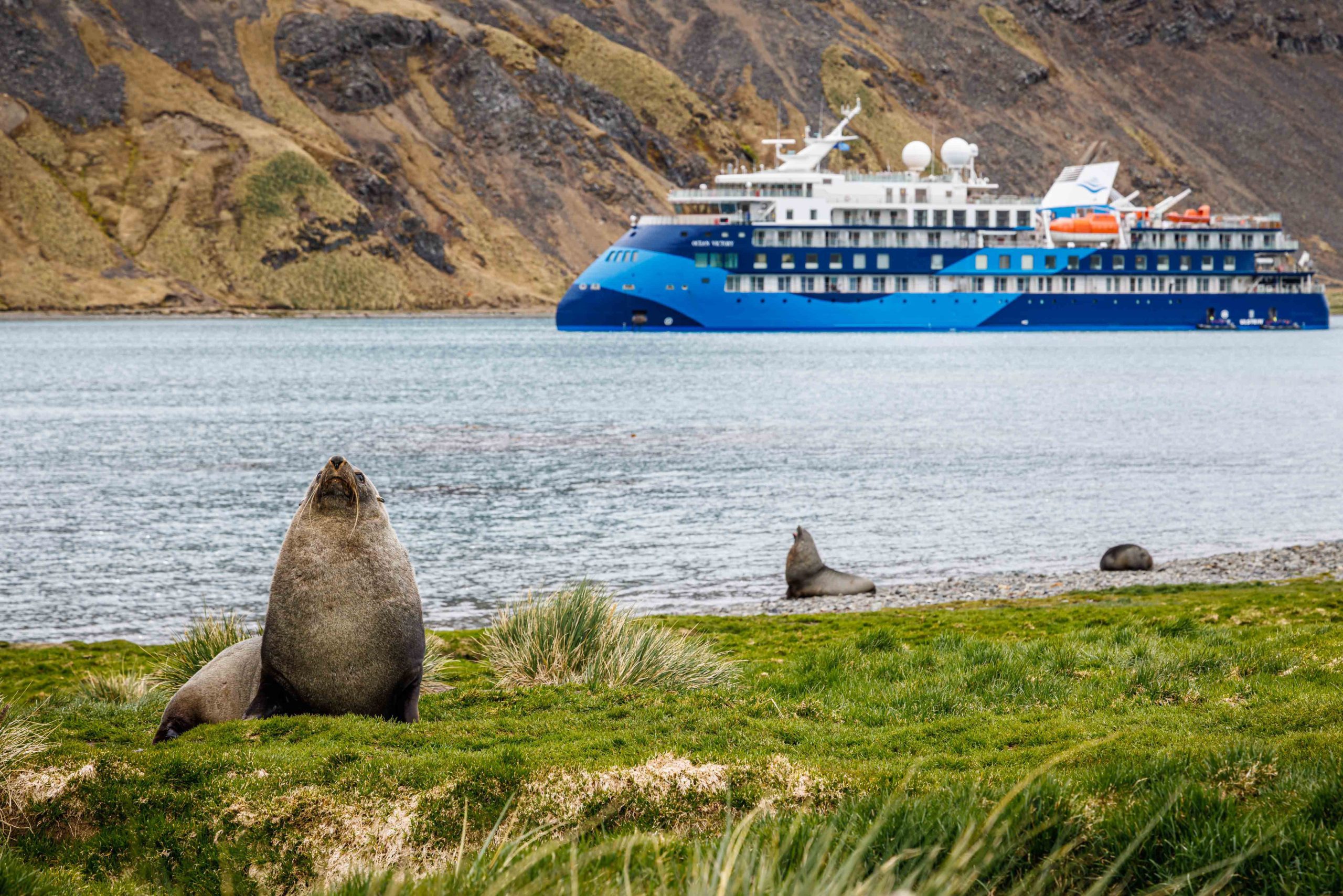 Georgia - Grytviken Werner Kruse