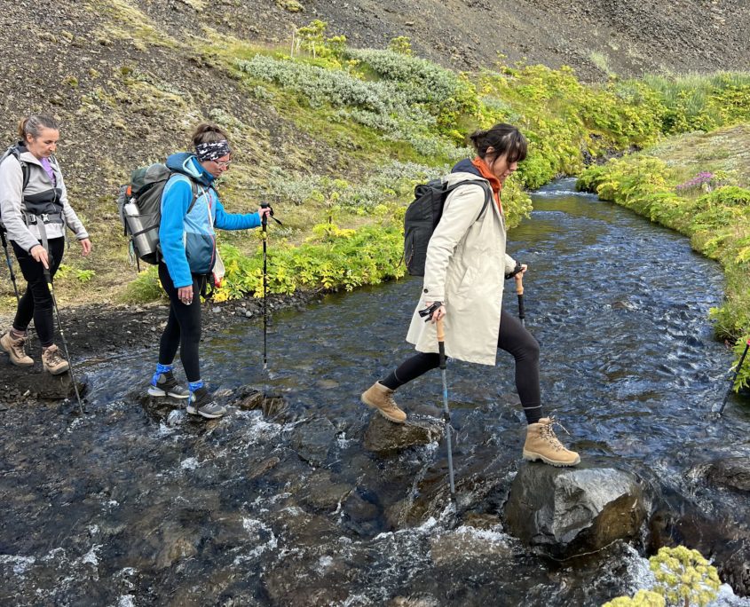 Laugavegur Groepsreis Anna Rottier - 31 juli - Emstrur - þórksmörk