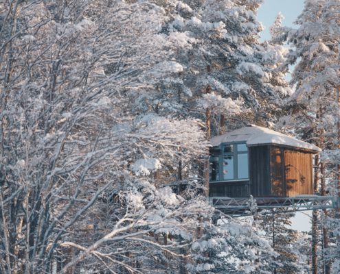 Slapen in een birds nest in Zweeds Lapland - Granö Beckasin