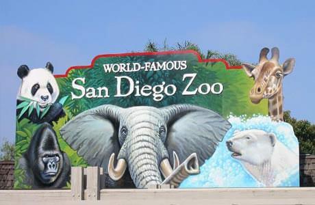 san-diego-zoo