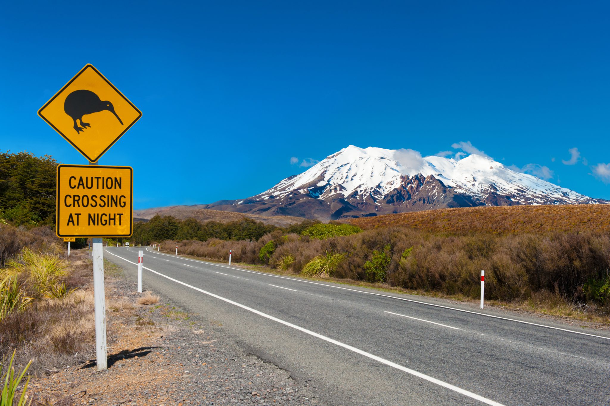 Kiwi sign near the road leading to the volcano Mt. Ruapehu, national park Tongariro. New Zealand