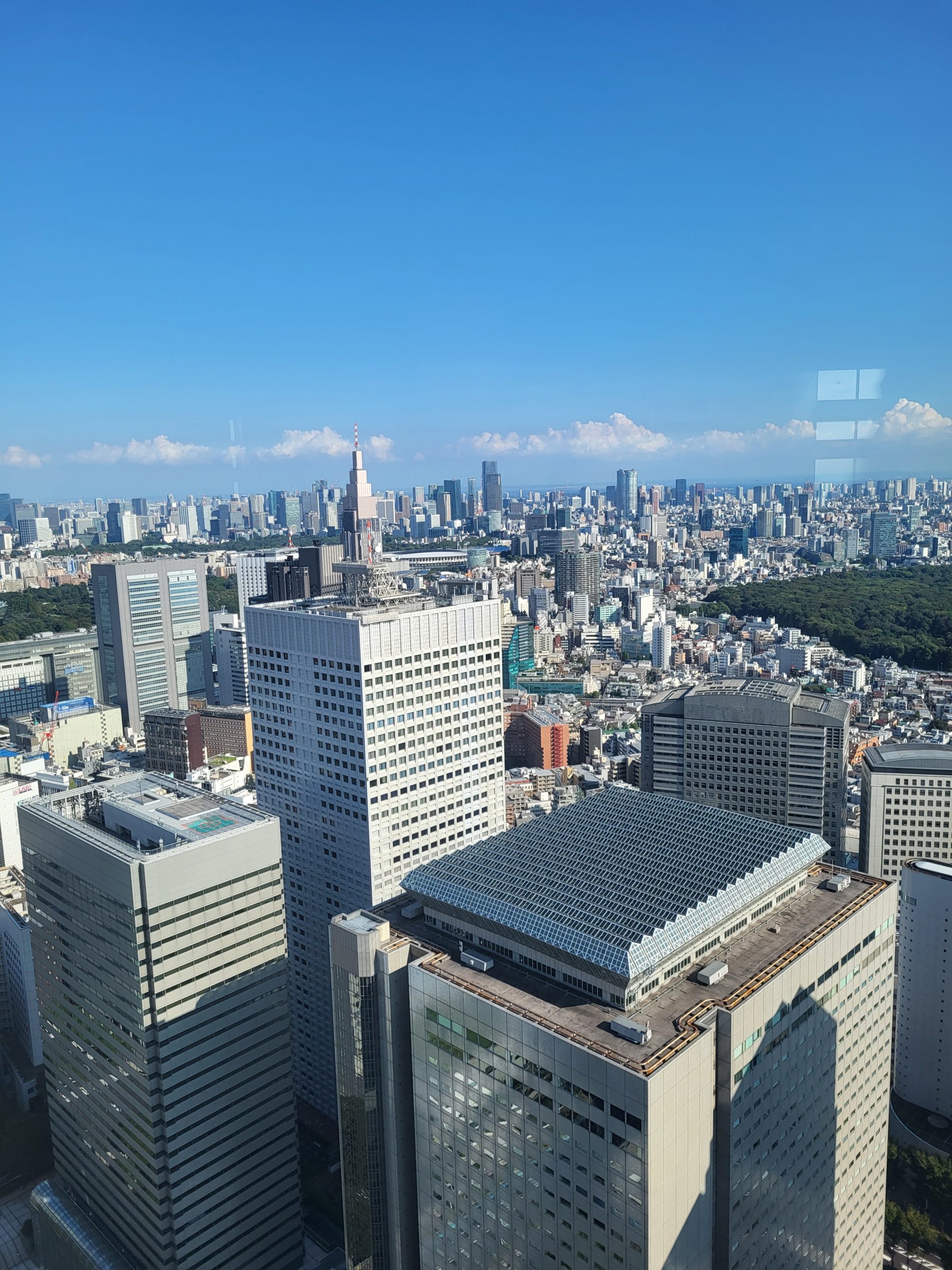 Tokyo skyline