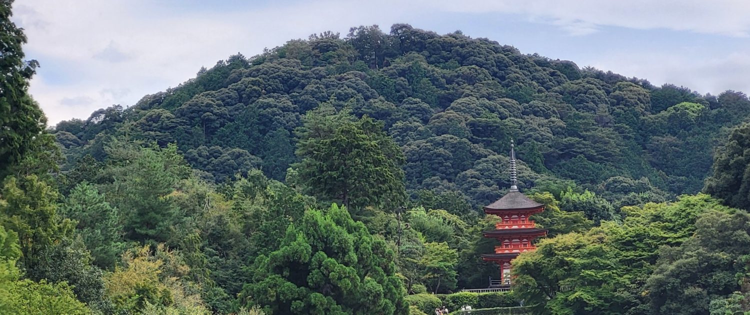 Kiyomizu-dera