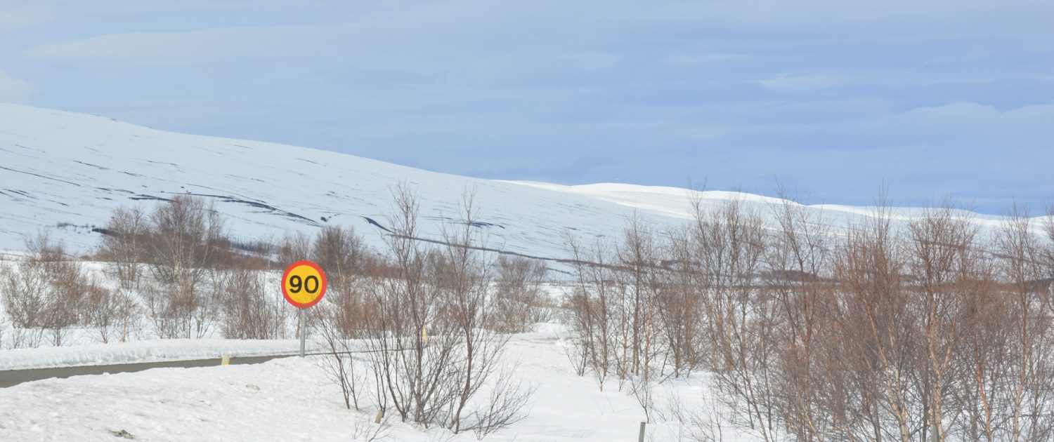 Weg tussen Akyreyri en Godafoss