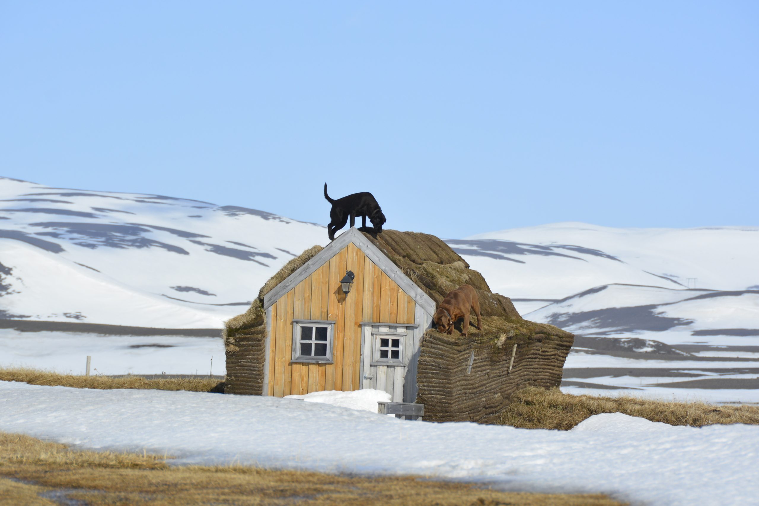 Möðrudalur