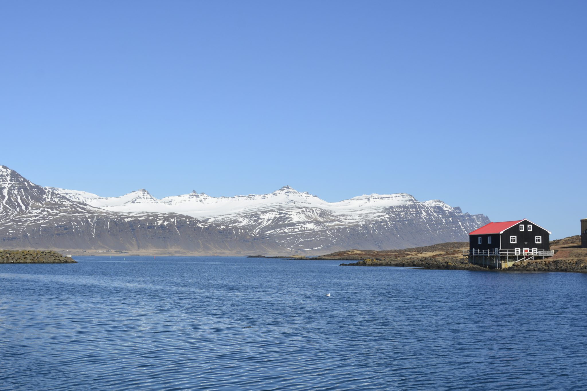 IJsland in april - Haven van Djúpivogur