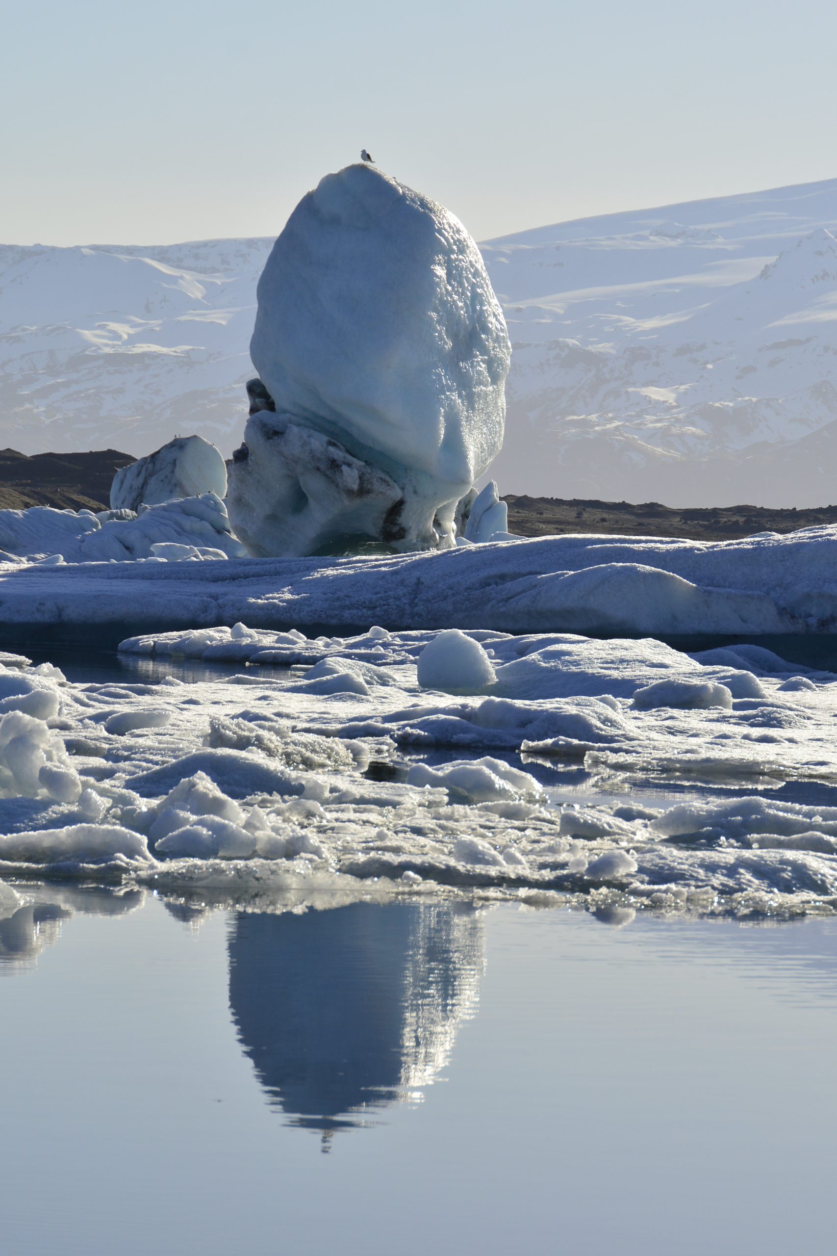 Jökulárlón