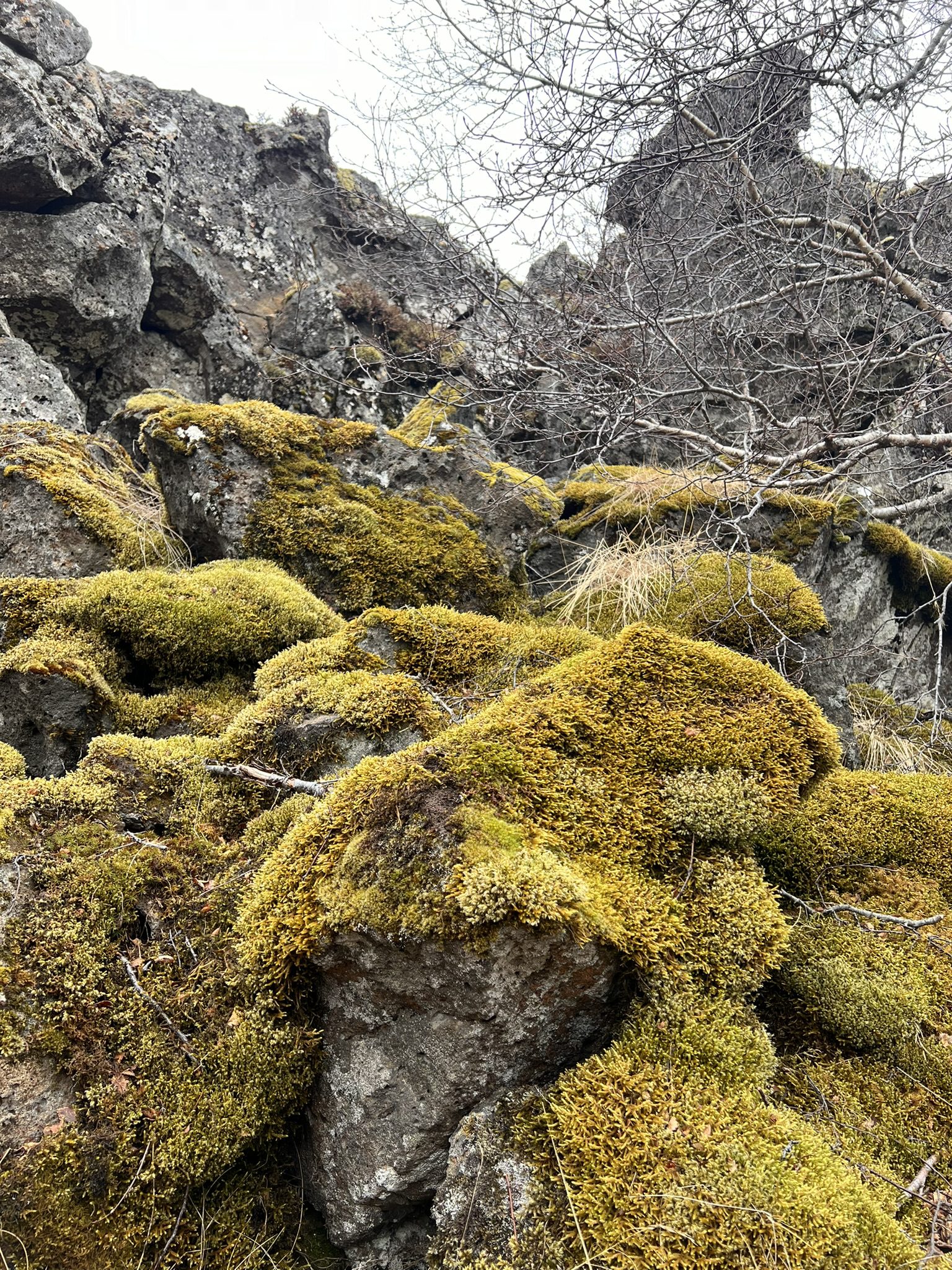 Bij Glanni waterval