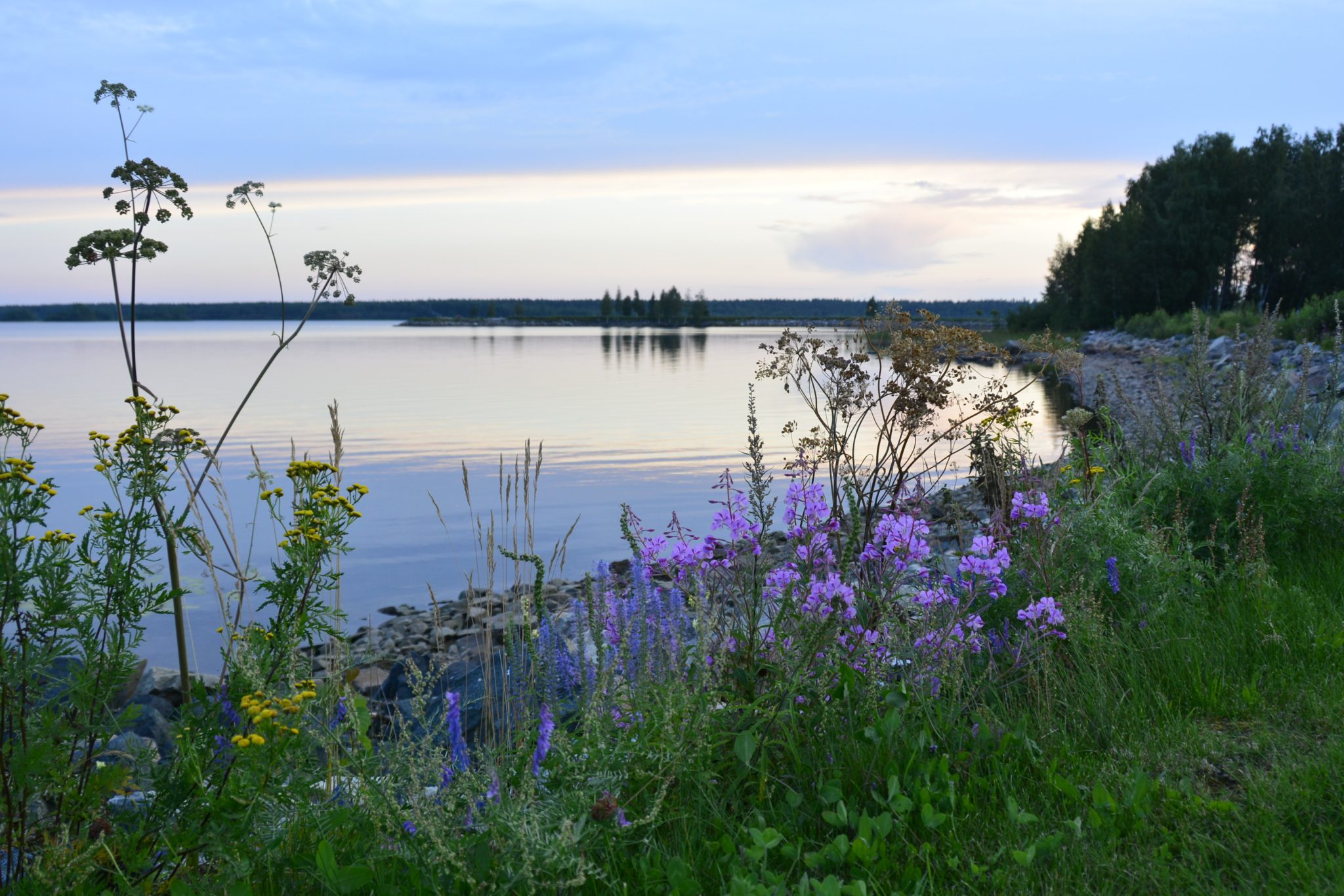 Reisblog zomer Zweden Finland 2024