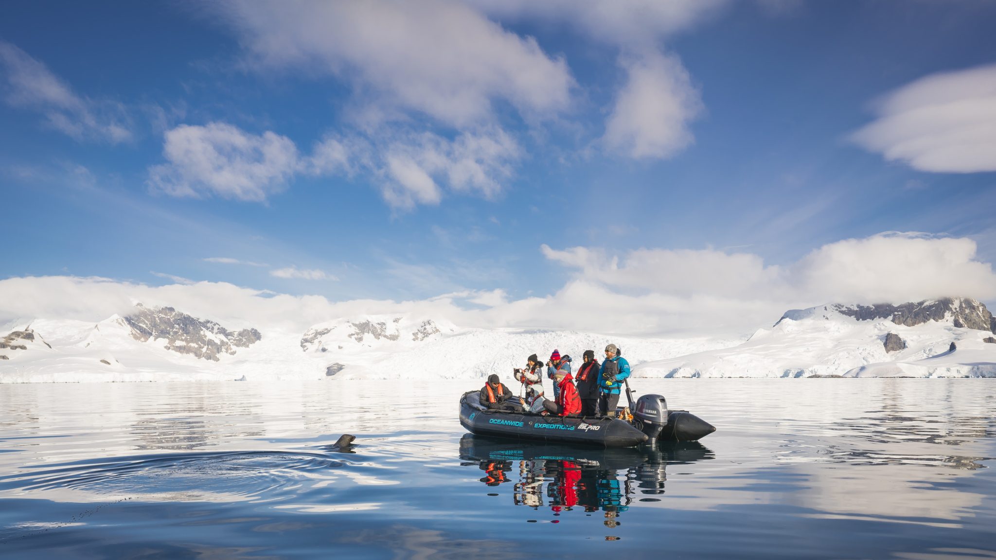 Antarctic Peninsula, Foyn Harbour - Oceanwide Expeditions