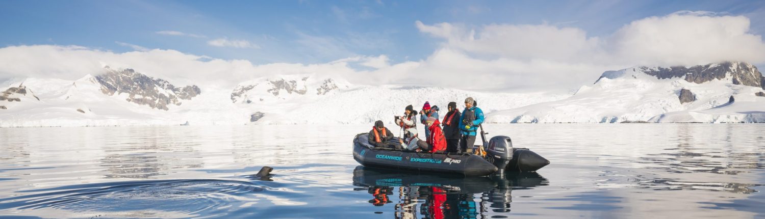 Zuidpool Aanbiedingen - Antarctic Peninsula, Foyn Harbour - Oceanwide Expeditions