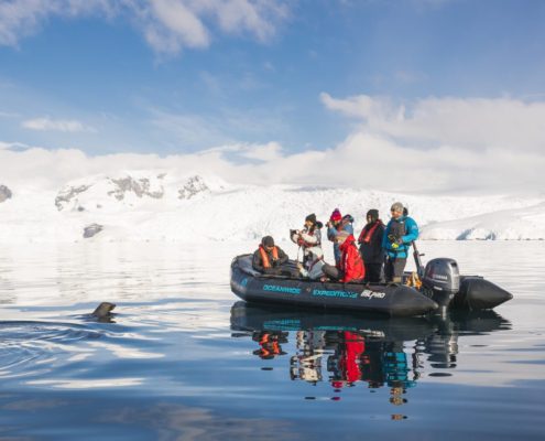 Zuidpool Aanbiedingen - Antarctic Peninsula, Foyn Harbour - Oceanwide Expeditions