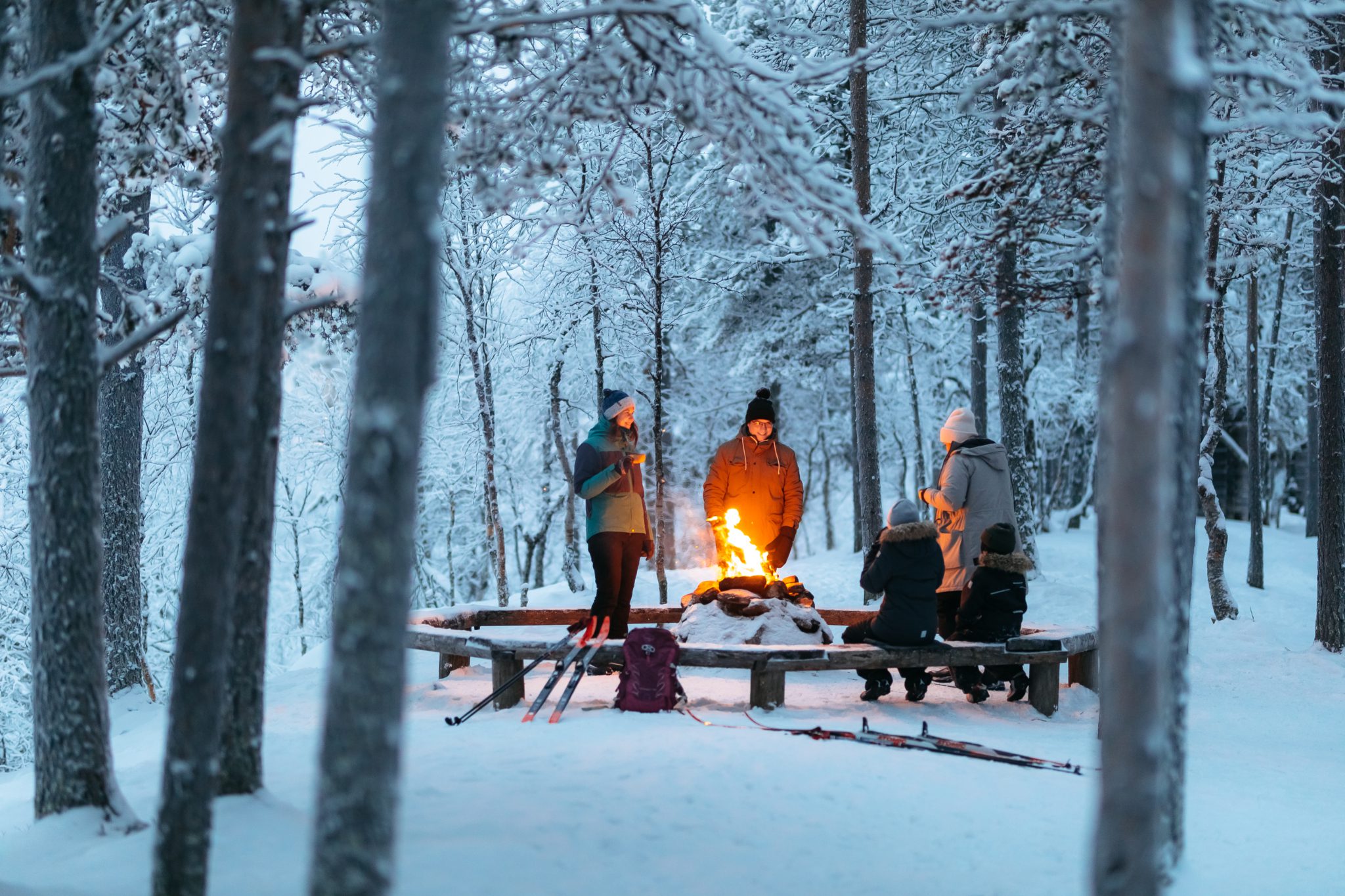 Cross Country skiing - Lapland North
