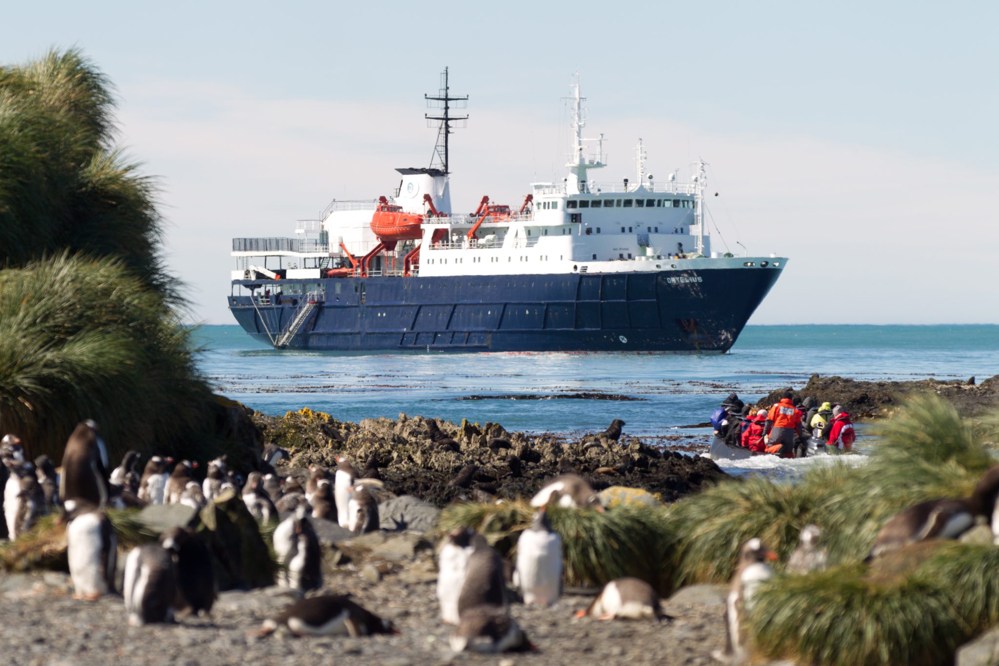 Ortelius, Falkland Islands, South Georgia, Antarctica