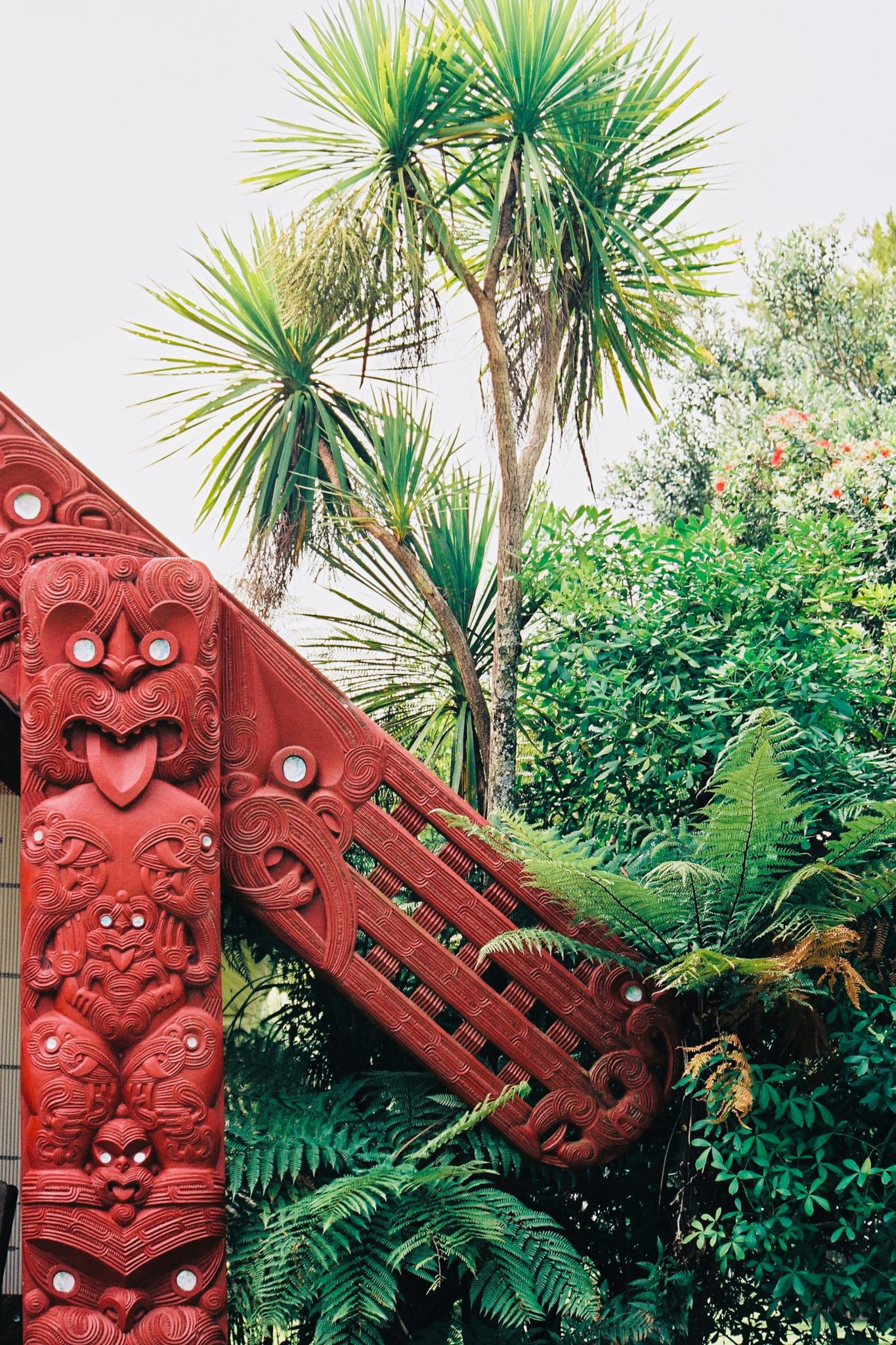 Waitangi New Zealand | Creating Stories Planet Downunder