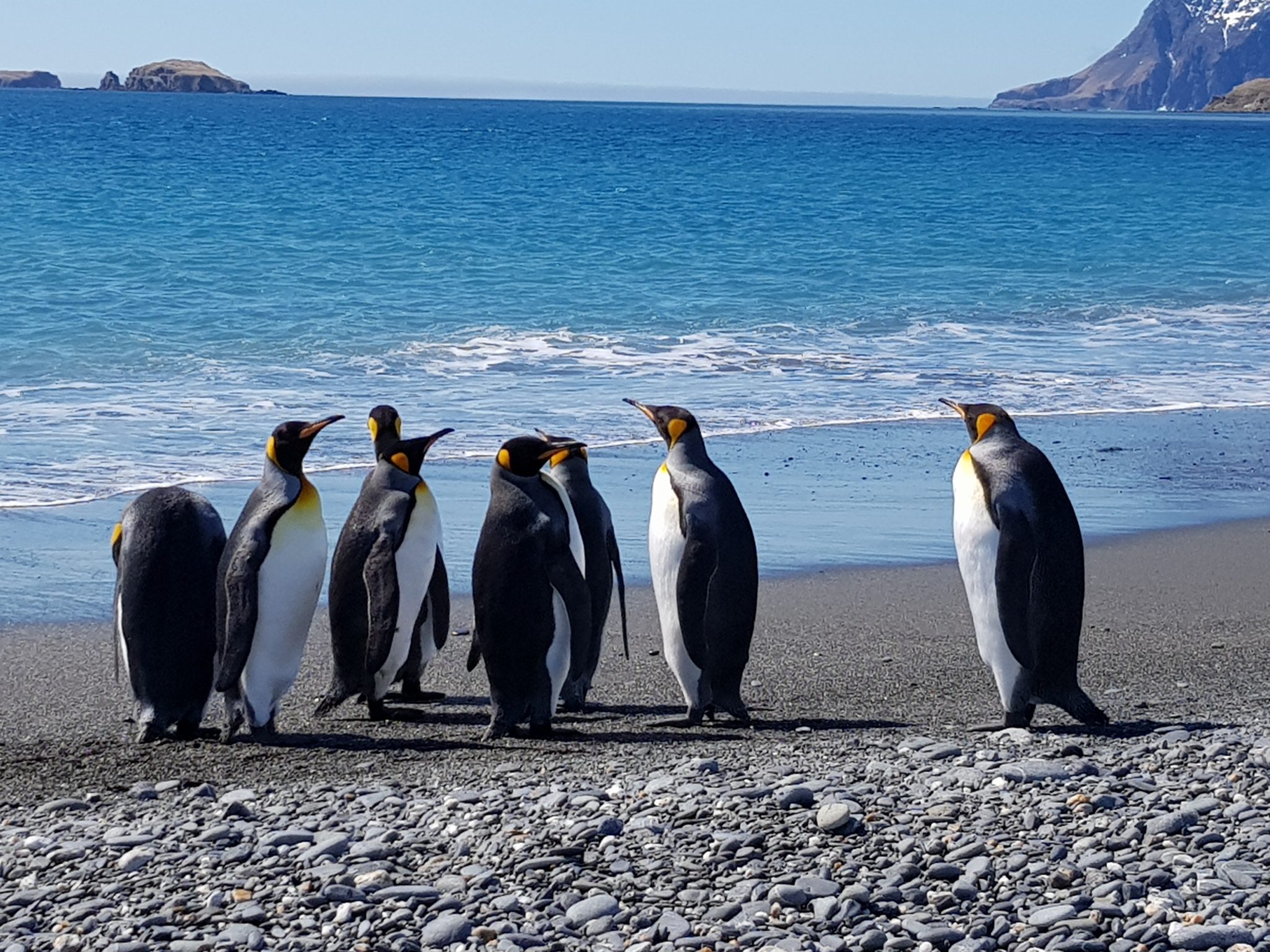 Informatie over Expeditiecruises | Creating Stories