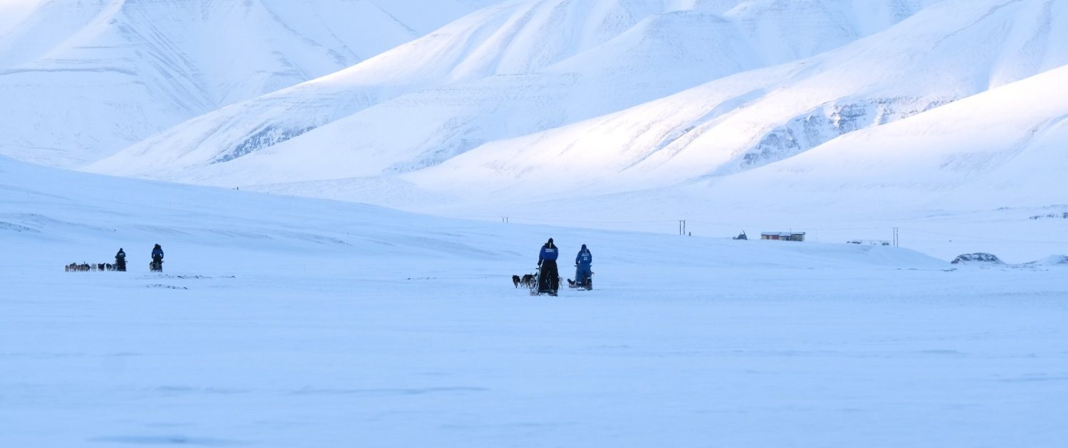 Spitsbergen, foto: Nyncke Ernst Spitsbergen, foto: Nyncke Ernst