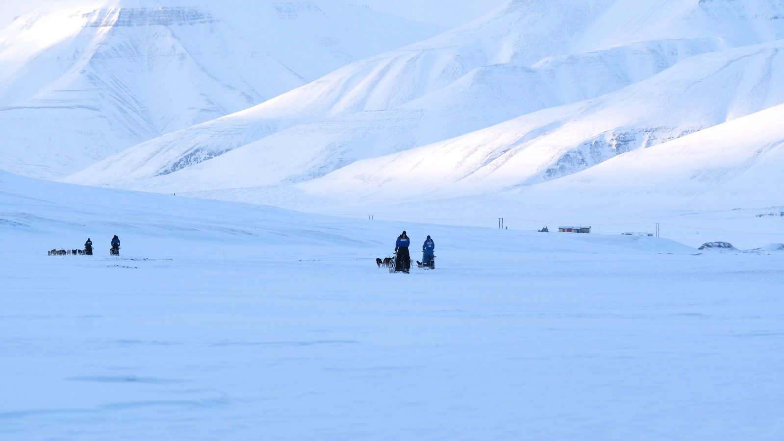 Spitsbergen, foto: Nyncke Ernst Spitsbergen, foto: Nyncke Ernst