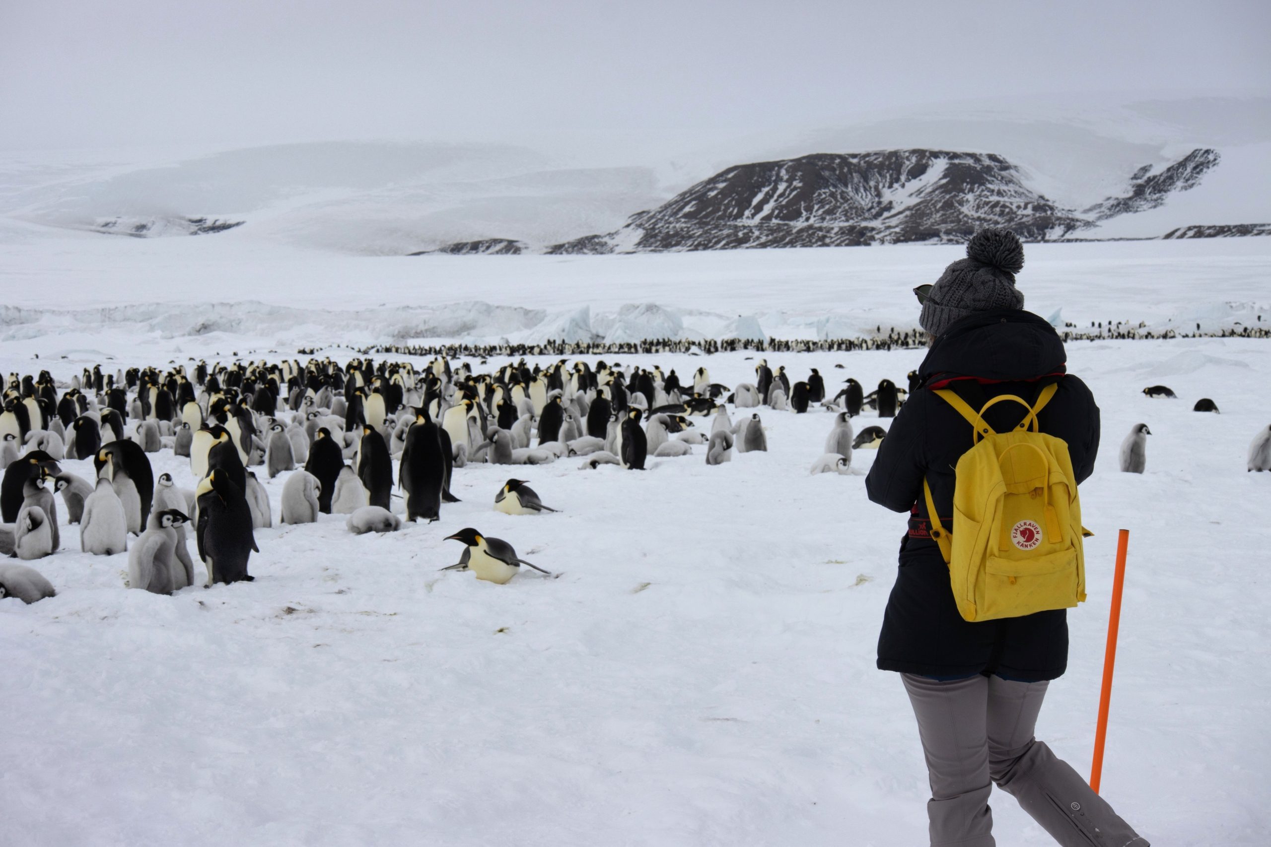 Snow Hill Island Antarctica