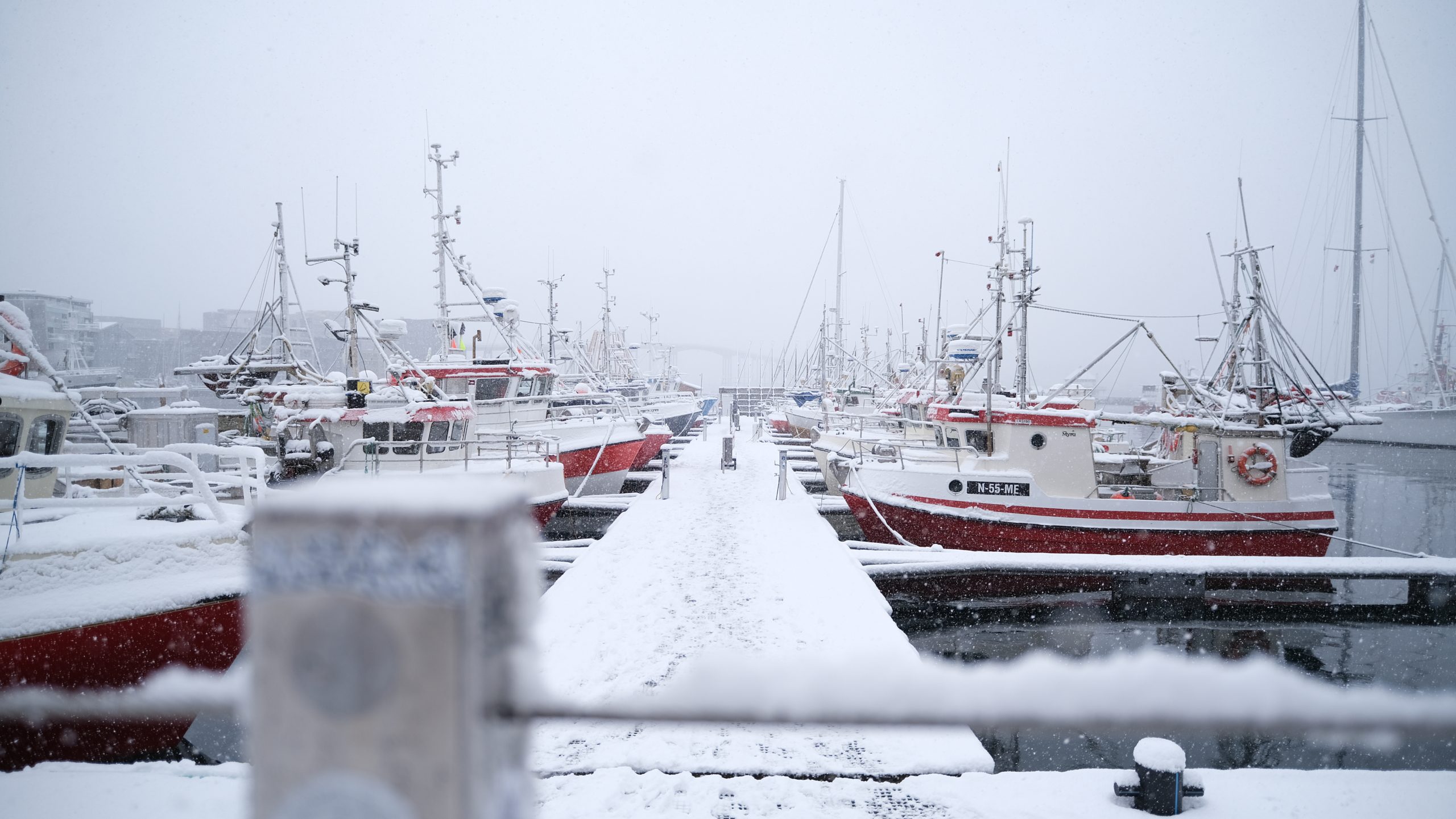 Tromsø, foto: Nyncke Ernst Tromsø, foto: Nyncke Ernst