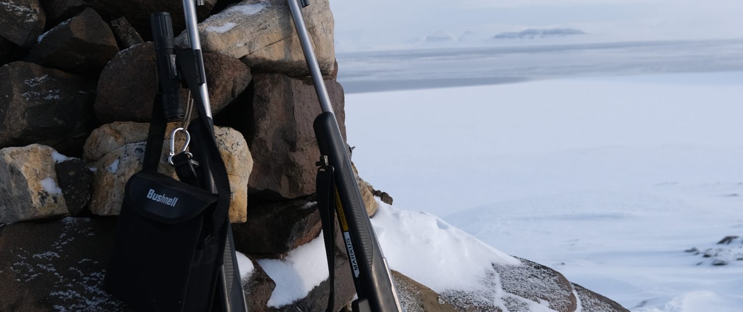 Spitsbergen, foto: Nyncke Ernst Spitsbergen, foto: Nyncke Ernst