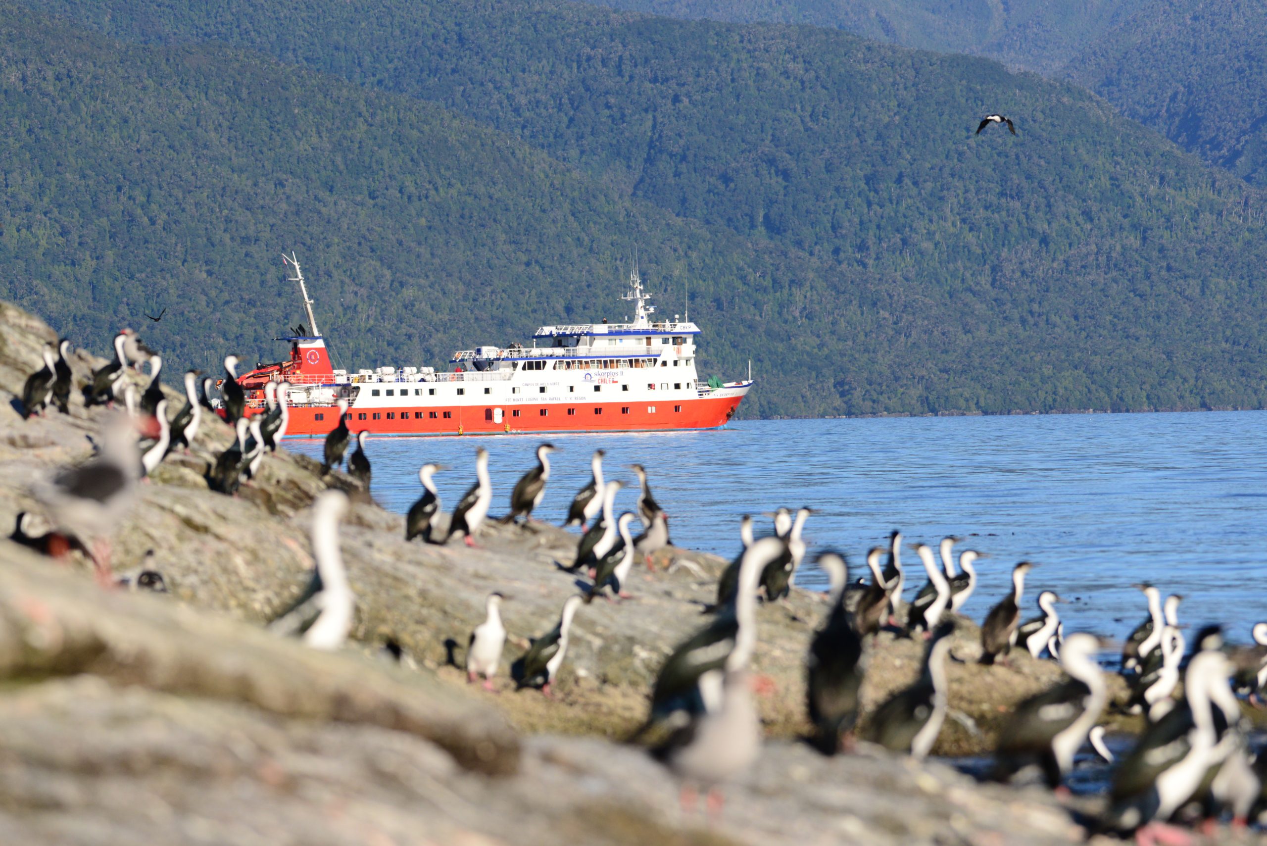 Cruise Patagonië